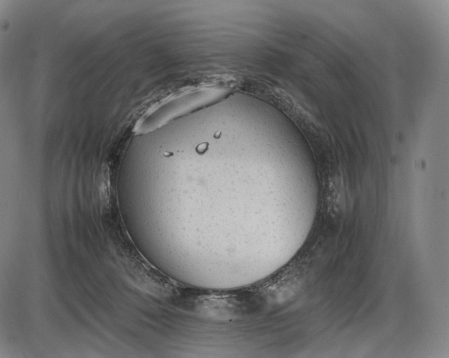 X0000085830320200703301626