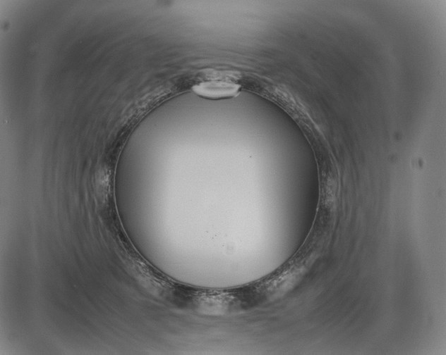 X0000085830321200703301626