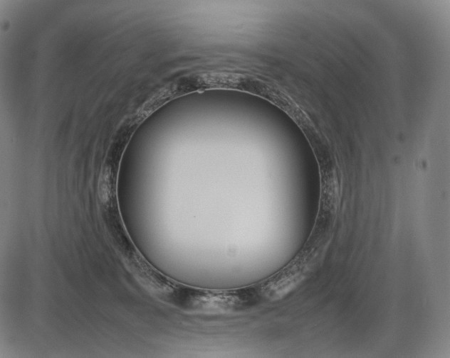 X0000085830323200703301626