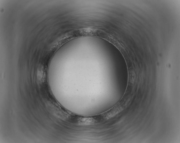 X0000085830324200703301626