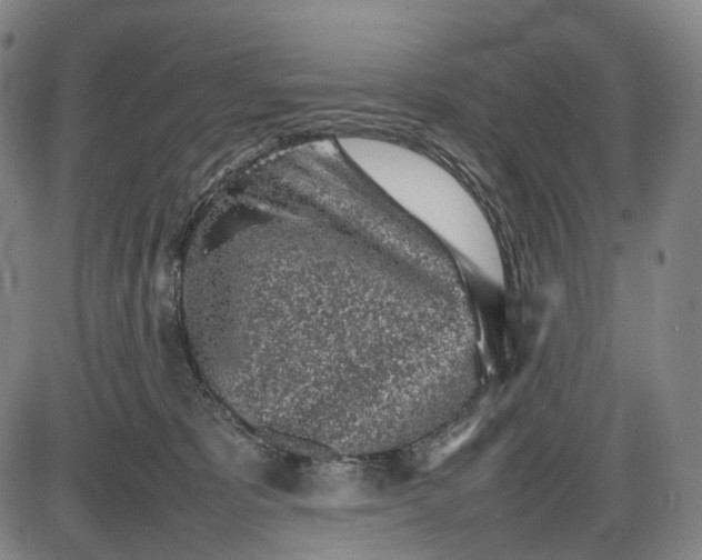 X0000085830325200703301626