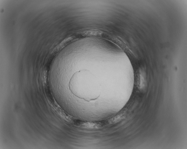 X0000085830326200703301626