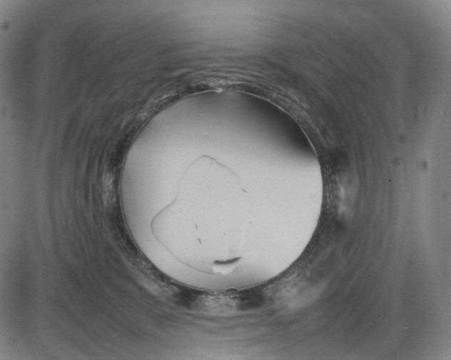 X0000085830327200703301626