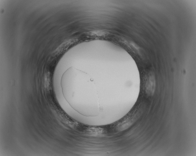 X0000085830328200703301626