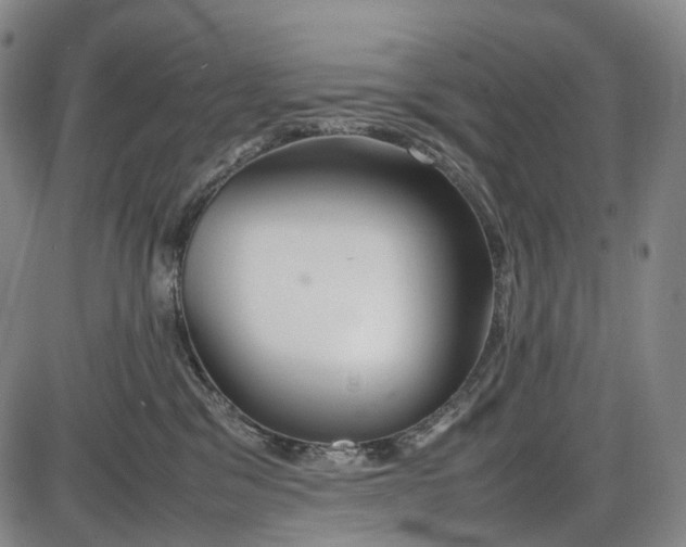 X0000085830329200703301626