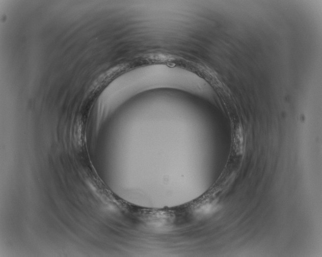 X0000085830330200703301626