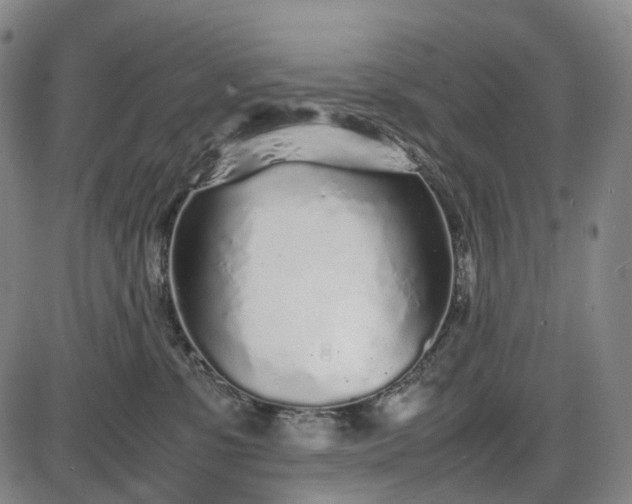 X0000085830331200703301626