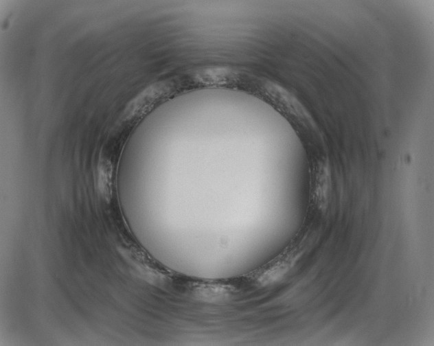 X0000085830332200703301626