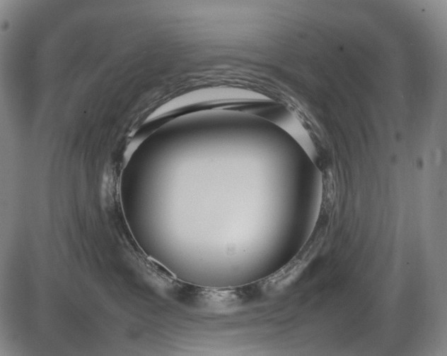 X0000085830333200703301626