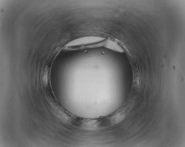 X0000085830334200703301626