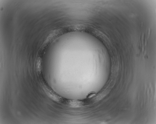 X0000085830336200703301625