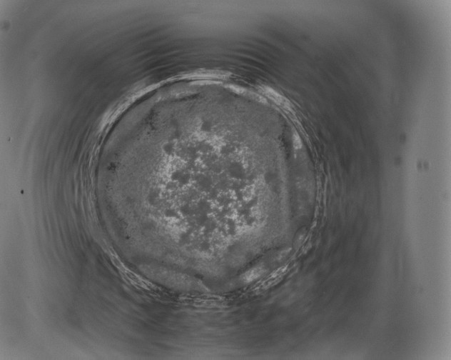 X0000085830337200703301625