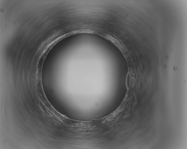 X0000085830338200703301625