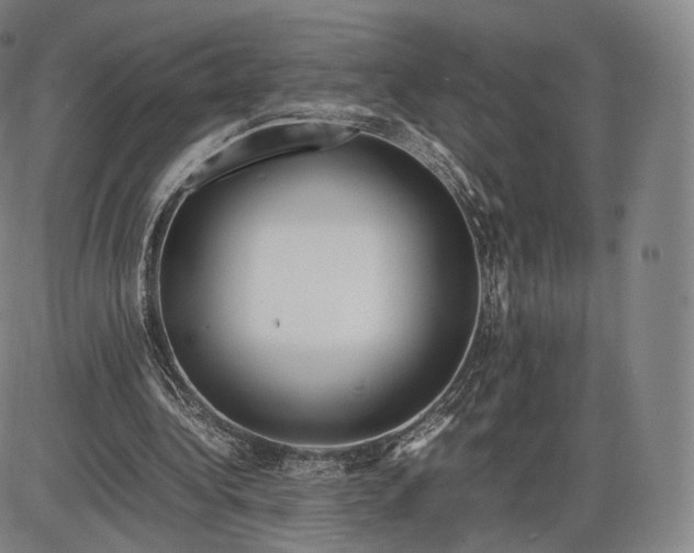 X0000085830340200703301625