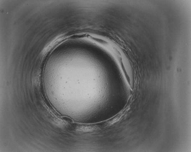 X0000085830341200703301625