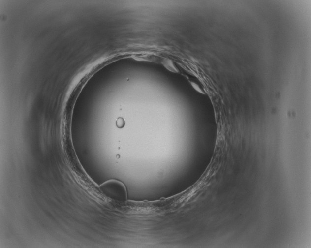 X0000085830342200703301625