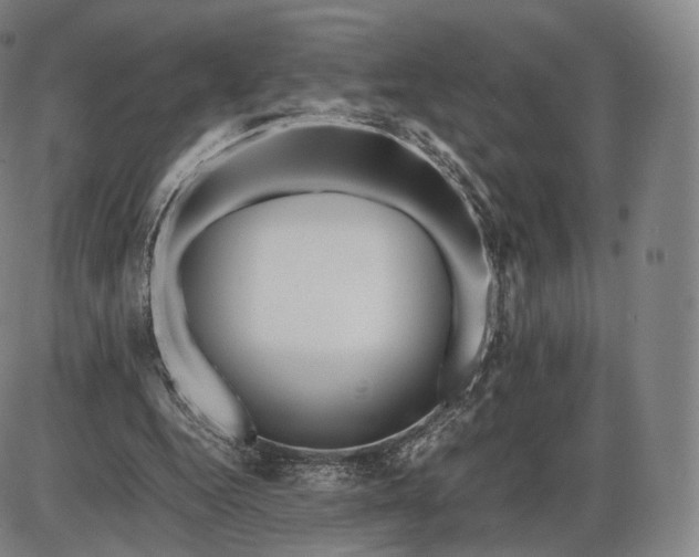 X0000085830344200703301625