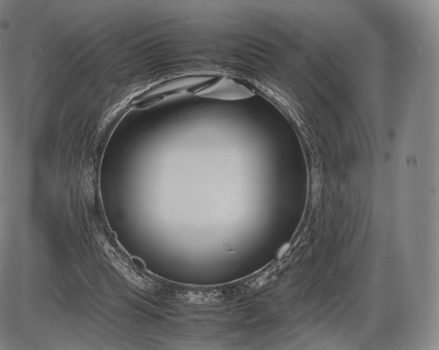 X0000085830345200703301625