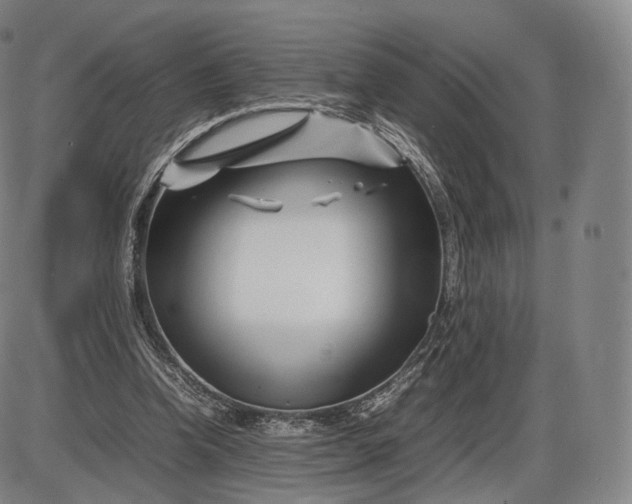 X0000085830346200703301625