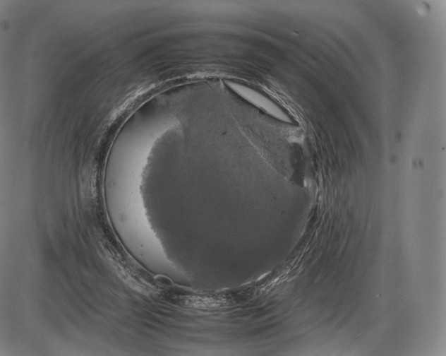 X0000085830347200703301625