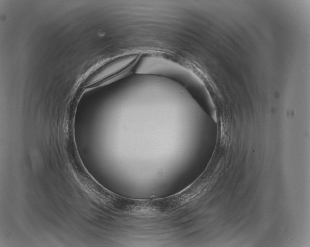 X0000085830348200703301625