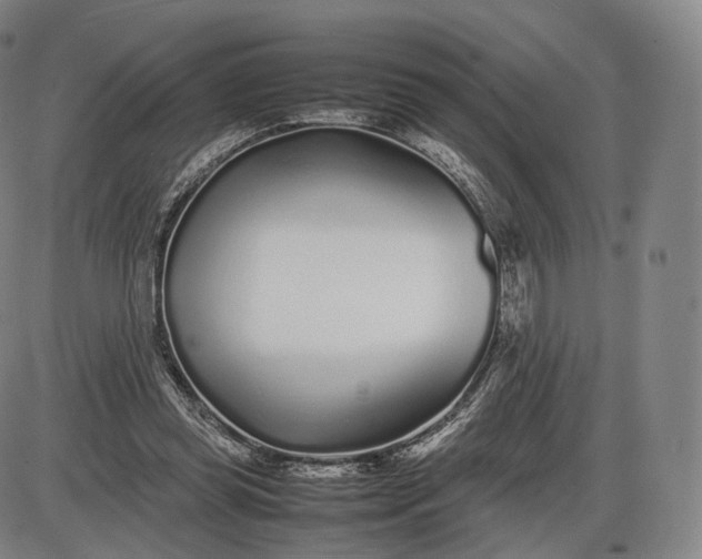 X0000085830349200703301625