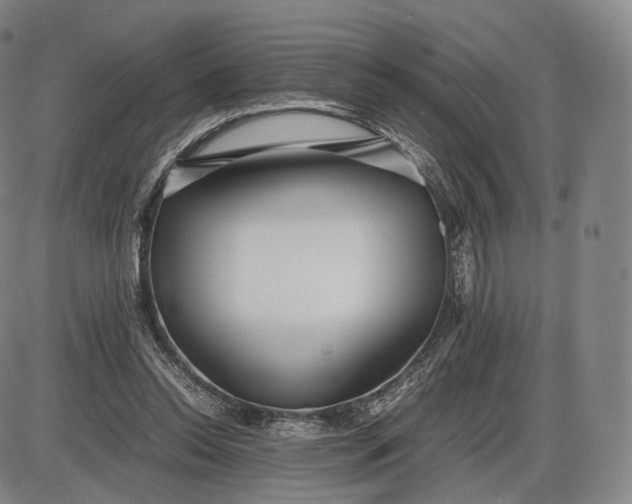 X0000085830350200703301625