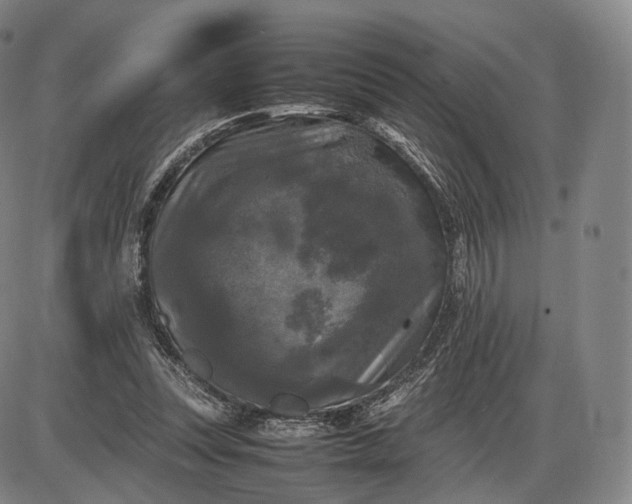 X0000085830351200703301625