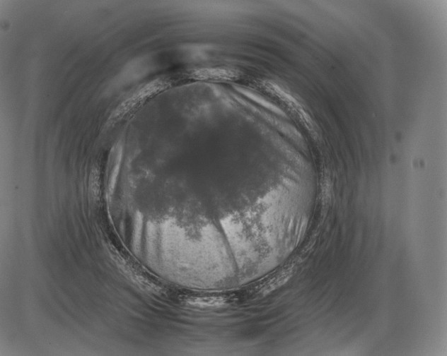 X0000085830353200703301625