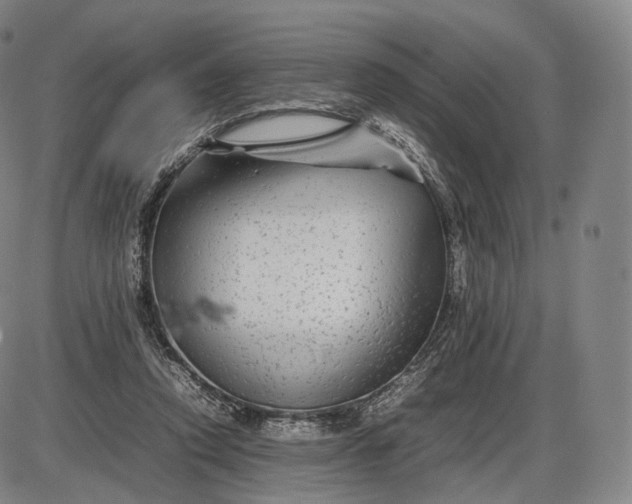 X0000085830354200703301625