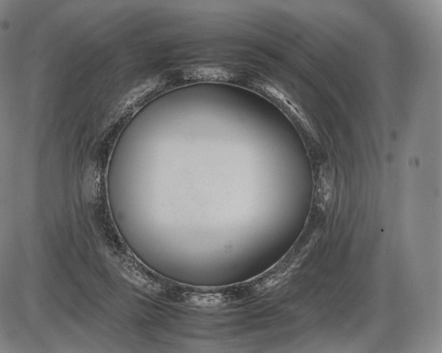 X0000085830355200703301625