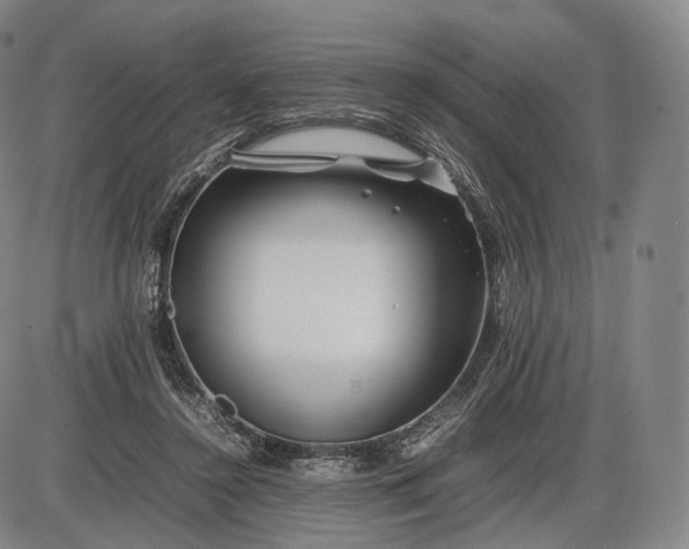 X0000085830356200703301625