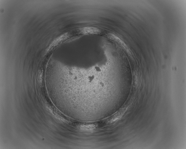 X0000085830357200703301625