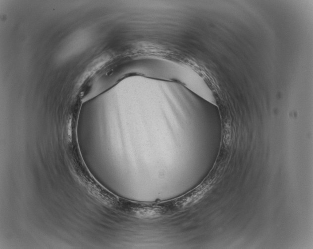 X0000085830358200703301625