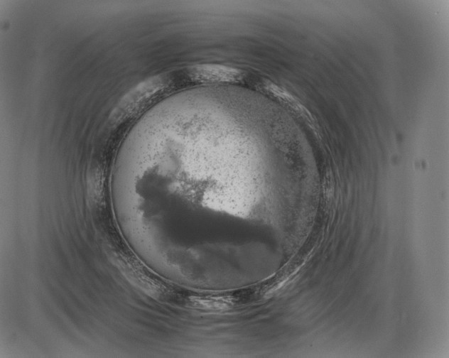 X0000085830359200703301625