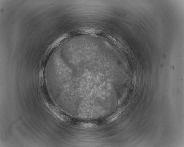 X0000085830360200703301625