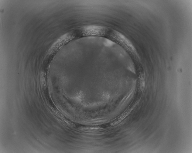 X0000085830361200703301625