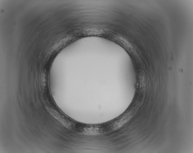 X0000085830362200703301625