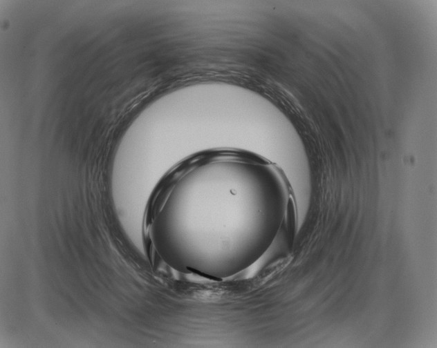 X0000085830364200703301625