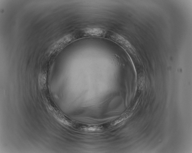 X0000085830365200703301625