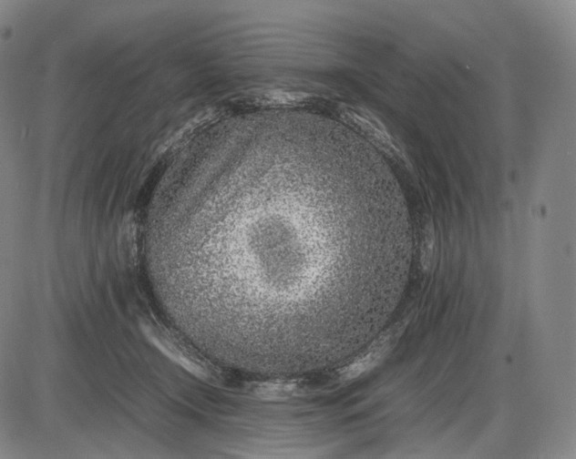 X0000085830366200703301625