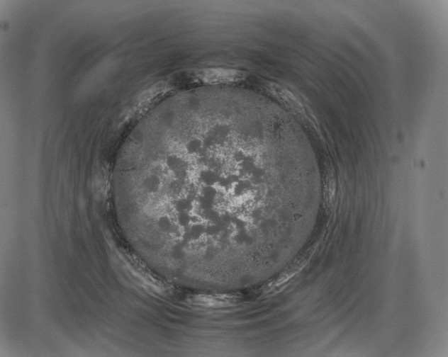 X0000085830367200703301625