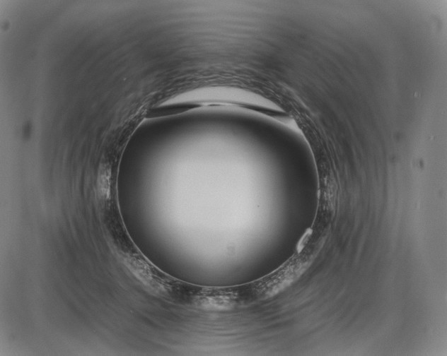 X0000085830368200703301625