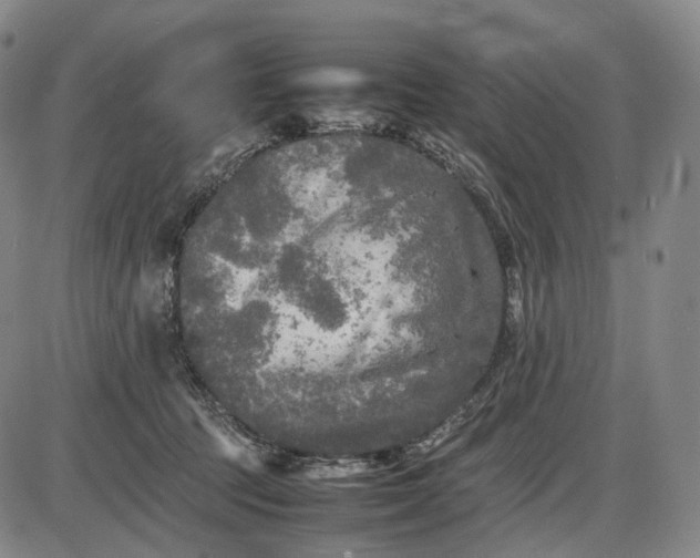 X0000085830369200703301625