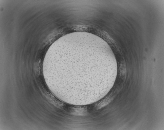 X0000085830370200703301625