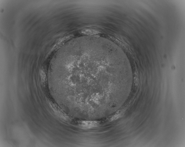 X0000085830371200703301625