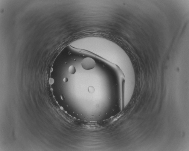 X0000085830372200703301625