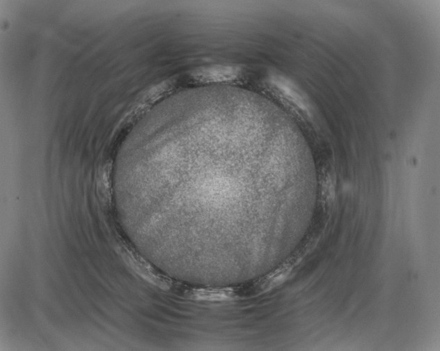 X0000085830373200703301625