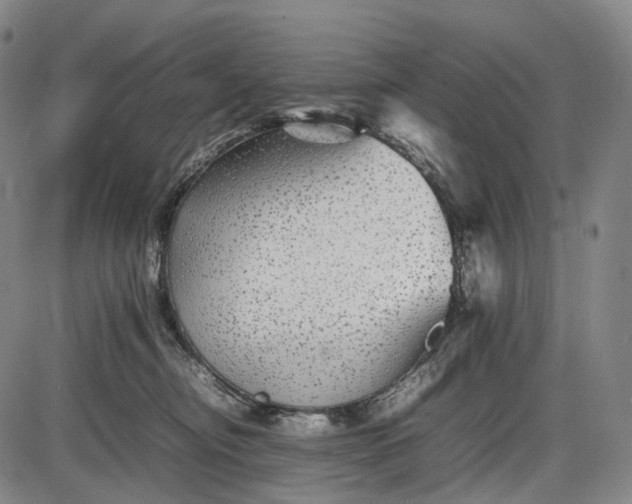 X0000085830374200703301625