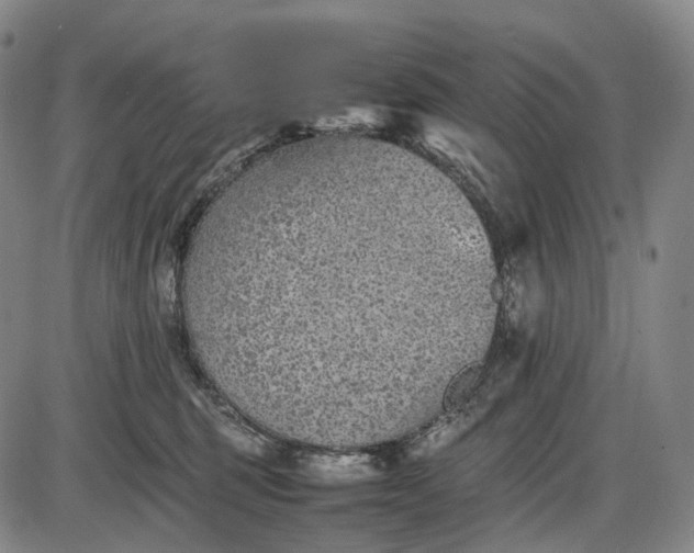 X0000085830375200703301625